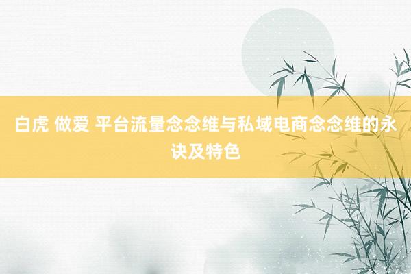 白虎 做爱 平台流量念念维与私域电商念念维的永诀及特色