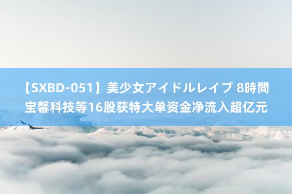 【SXBD-051】美少女アイドルレイプ 8時間 宝馨科技等16股获特大单资金净流入超亿元