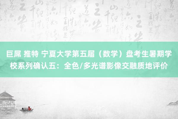 巨屌 推特 宁夏大学第五届（数学）盘考生暑期学校系列确认五：全色/多光谱影像交融质地评价